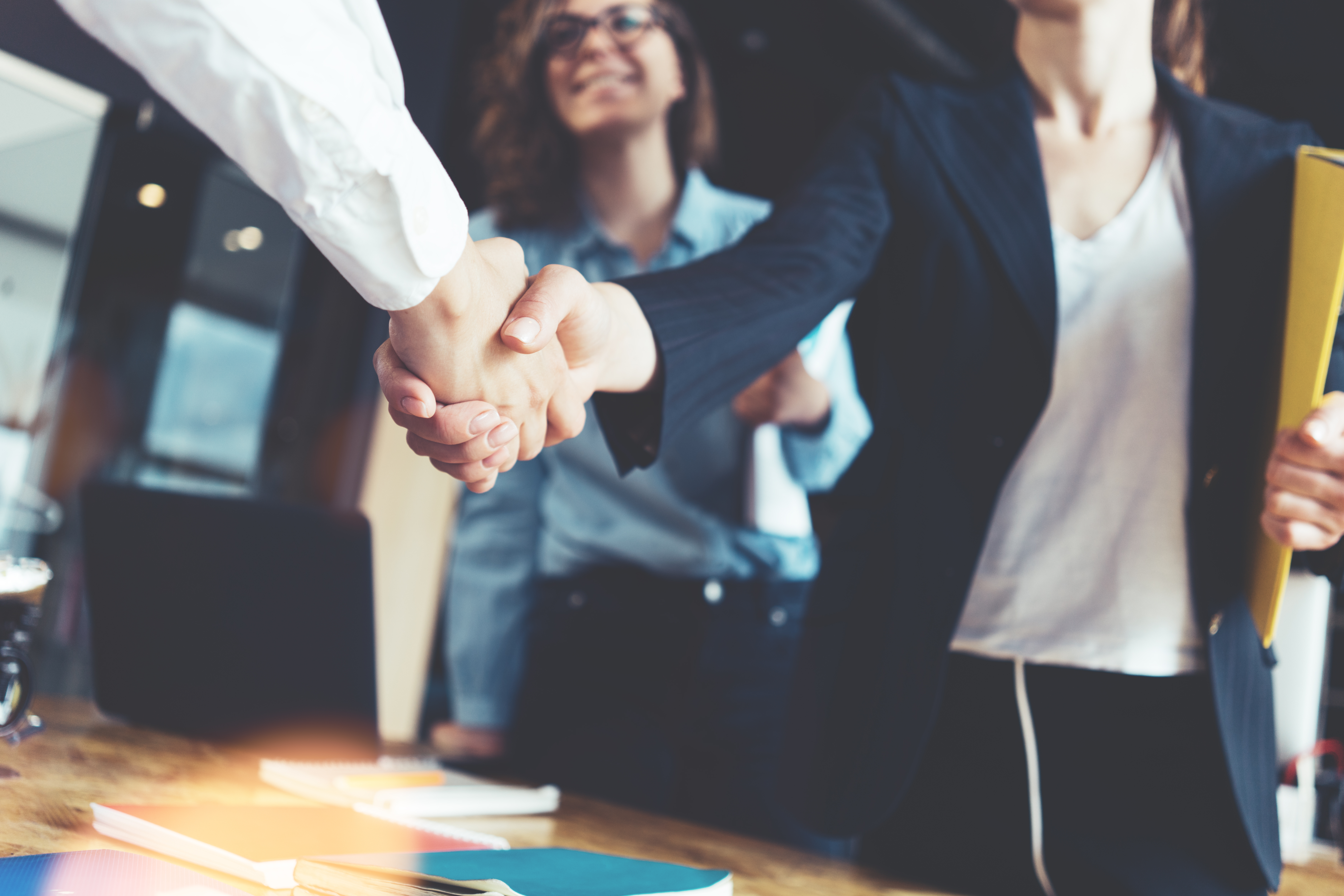 Professionals shaking hands